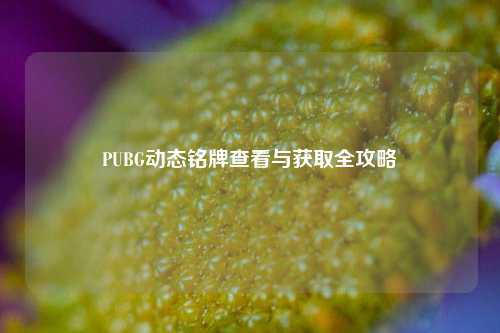 PUBG动态铭牌查看与获取全攻略