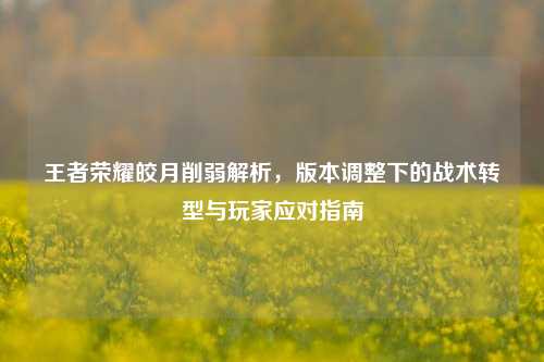 王者荣耀皎月削弱解析,版本调整下的战术转型与玩家应对指南