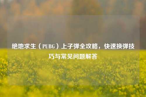 绝地求生(PUBG)上子弹全攻略,快速换弹技巧与常见问题解答