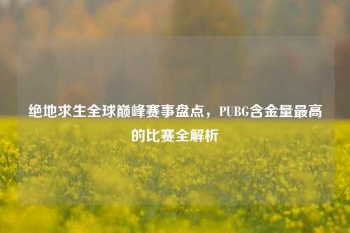 绝地求生全球巅峰赛事盘点,PUBG含金量最高的比赛全解析