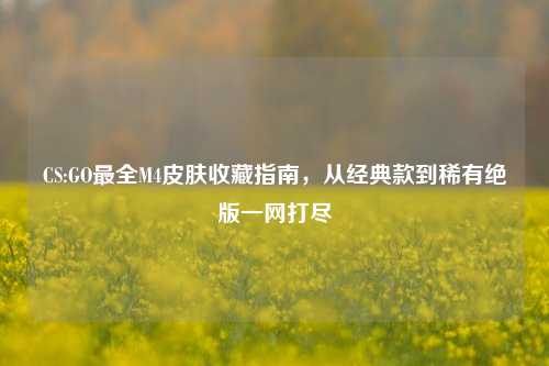 CS:GO最全M4皮肤收藏指南,从经典款到稀有绝版一网打尽