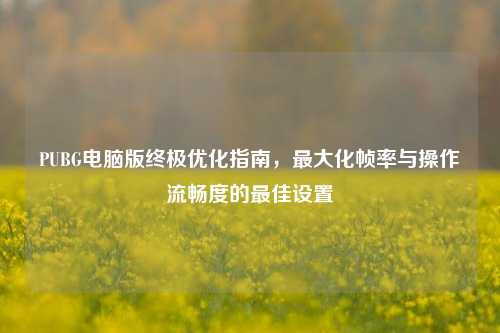 PUBG电脑版终极优化指南,最大化帧率与操作流畅度的最佳设置