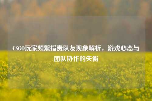 CSGO玩家频繁指责队友现象解析,游戏心态与团队协作的失衡