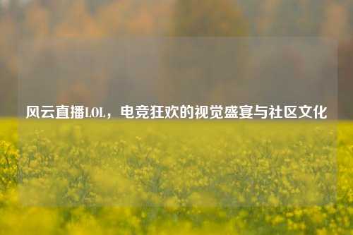风云直播LOL,电竞狂欢的视觉盛宴与社区文化