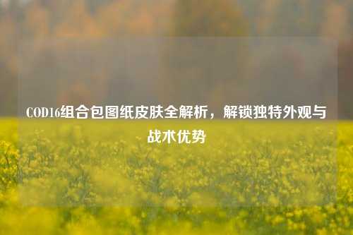 COD16组合包图纸皮肤全解析,解锁独特外观与战术优势