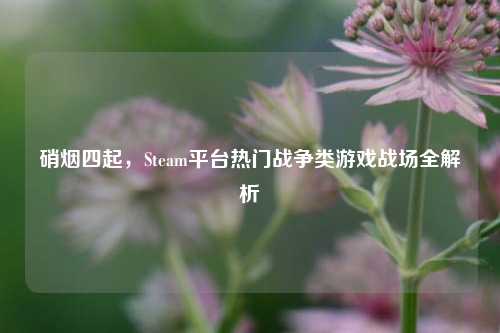 硝烟四起,Steam平台热门战争类游戏战场全解析