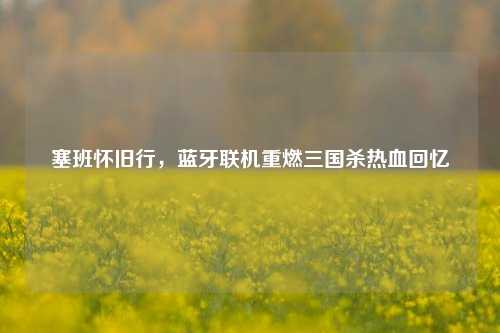 塞班怀旧行,蓝牙联机重燃三国杀热血回忆