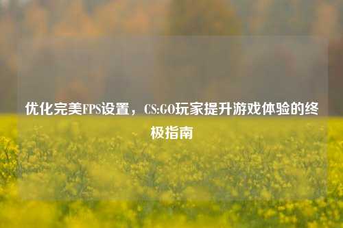优化完美FPS设置,CS:GO玩家提升游戏体验的终极指南