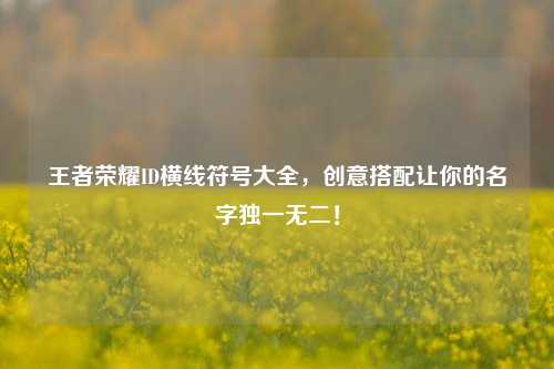 王者荣耀ID横线符号大全,创意搭配让你的名字独一无二!