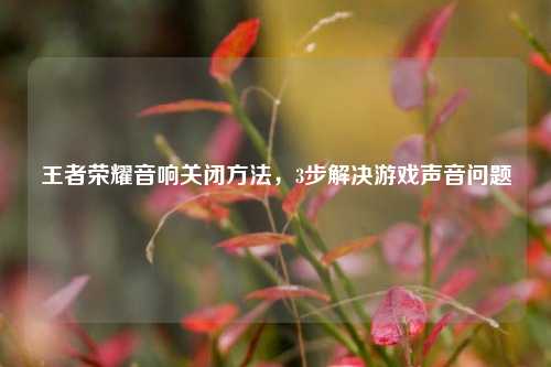 王者荣耀音响关闭方法,3步解决游戏声音问题