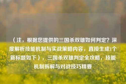 (注,根据您提供的三国杀双雄如何判定?深度解析技能机制与实战策略内容,直接生成1个新标题如下),三国杀双雄判定全攻略,技能机制拆解与对战技巧精要