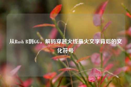 从Rush B到GG,解码穿越火线最火文字背后的文化符号