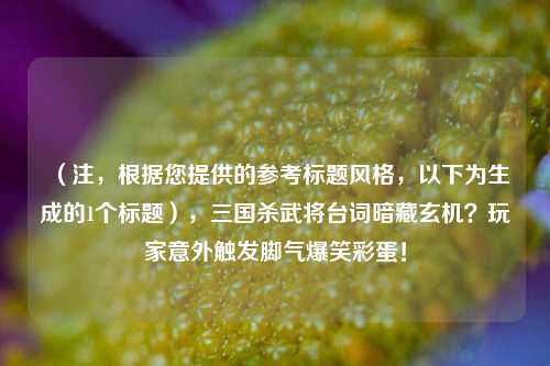 (注,根据您提供的参考标题风格,以下为生成的1个标题),三国杀武将台词暗藏玄机?玩家意外触发脚气爆笑彩蛋!