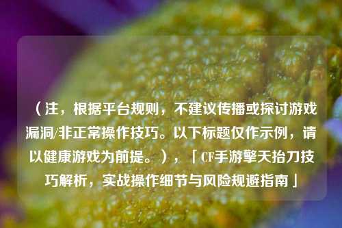 (注,根据平台规则,不建议传播或探讨游戏漏洞/非正常操作技巧。以下标题仅作示例,请以健康游戏为前提。),「CF手游擎天抬刀技巧解析,实战操作细节与风险规避指南」