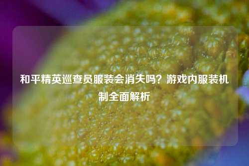 和平精英巡查员服装会消失吗?游戏内服装机制全面解析