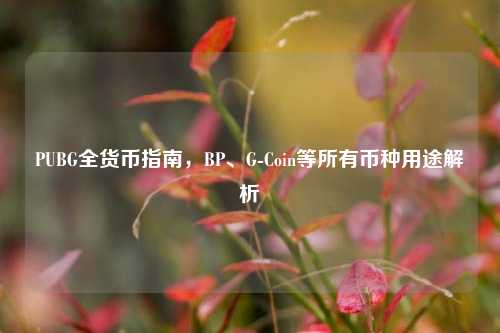 PUBG全货币指南,BP、G-Coin等所有币种用途解析