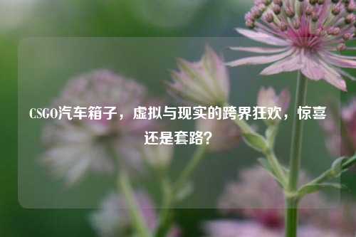 CSGO汽车箱子,虚拟与现实的跨界狂欢,惊喜还是套路?