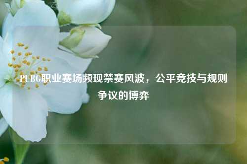 PUBG职业赛场频现禁赛风波,公平竞技与规则争议的博弈