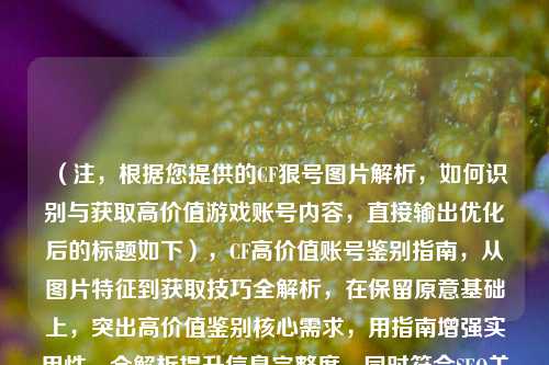 (注,根据您提供的CF狠号图片解析,如何识别与获取高价值游戏账号内容,直接输出优化后的标题如下),CF高价值账号鉴别指南,从图片特征到获取技巧全解析,在保留原意基础上,突出高价值鉴别核心需求,用指南增强实用性,全解析提升信息完整度,同时符合SEO关键词布局)