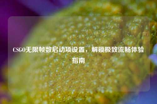 CSGO无限帧数启动项设置,解锁极致流畅体验指南