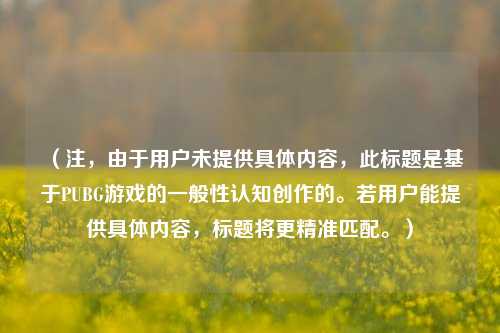 (注,由于用户未提供具体内容,此标题是基于PUBG游戏的一般性认知创作的。若用户能提供具体内容,标题将更精准匹配。)