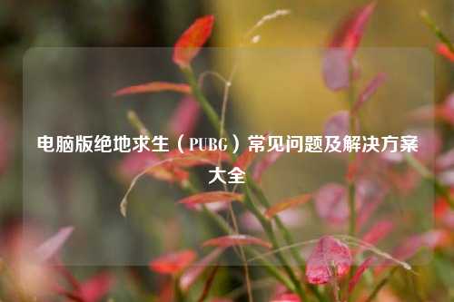 电脑版绝地求生(PUBG)常见问题及解决方案大全