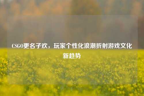 CSGO更名子欢,玩家个性化浪潮折射游戏文化新趋势