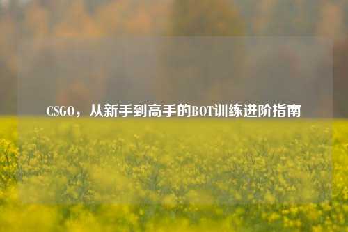 CSGO,从新手到高手的BOT训练进阶指南