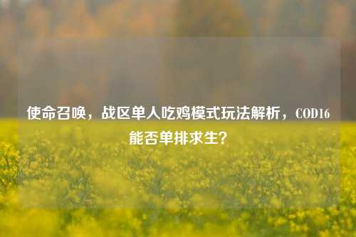 使命召唤,战区单人吃鸡模式玩法解析,COD16能否单排求生?