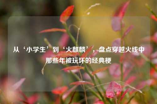 从‘小学生’到‘火麒麟’,盘点穿越火线中那些年被玩坏的经典梗
