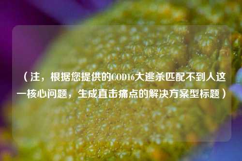 (注,根据您提供的COD16大逃杀匹配不到人这一核心问题,生成直击痛点的解决方案型标题)