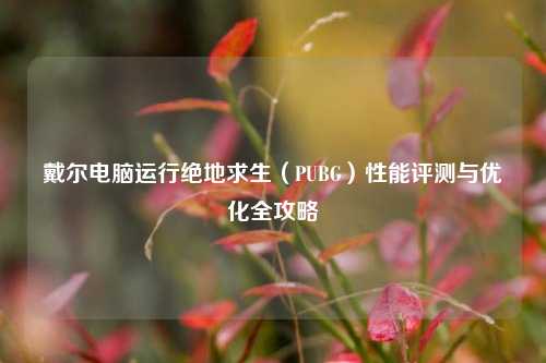 戴尔电脑运行绝地求生(PUBG)性能评测与优化全攻略