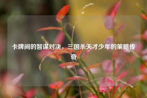 卡牌间的智谋对决,三国杀天才少年的策略传奇