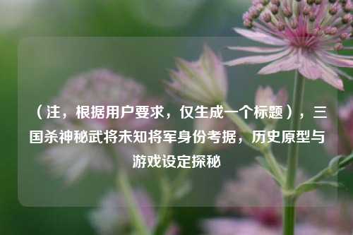 (注,根据用户要求,仅生成一个标题),三国杀神秘武将未知将军身份考据,历史原型与游戏设定探秘