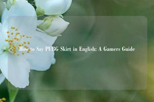 How to Say PUBG Skirt in English: A Gamers Guide