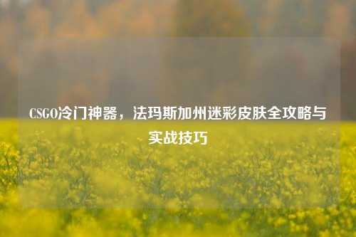 CSGO冷门神器,法玛斯加州迷彩皮肤全攻略与实战技巧
