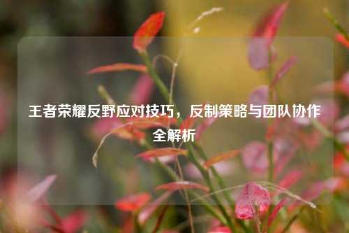 王者荣耀反野应对技巧,反制策略与团队协作全解析