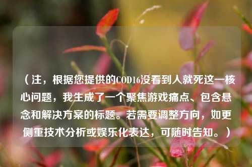 (注,根据您提供的COD16没看到人就死这一核心问题,我生成了一个聚焦游戏痛点、包含悬念和解决方案的标题。若需要调整方向,如更侧重技术分析或娱乐化表达,可随时告知。)