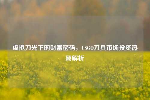 虚拟刀光下的财富密码,CSGO刀具市场投资热潮解析