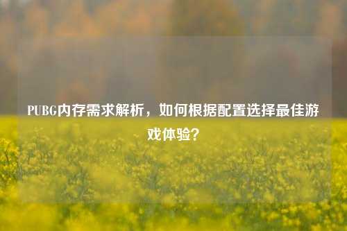 PUBG内存需求解析,如何根据配置选择最佳游戏体验?