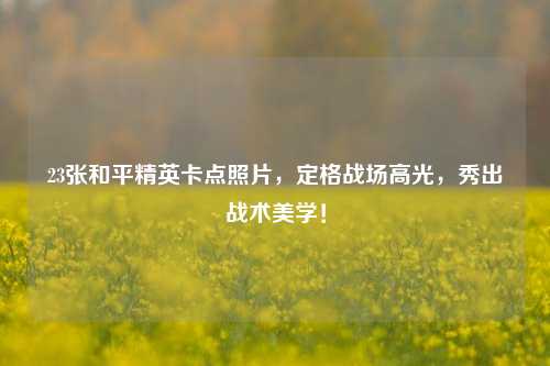 23张和平精英卡点照片,定格战场高光,秀出战术美学!