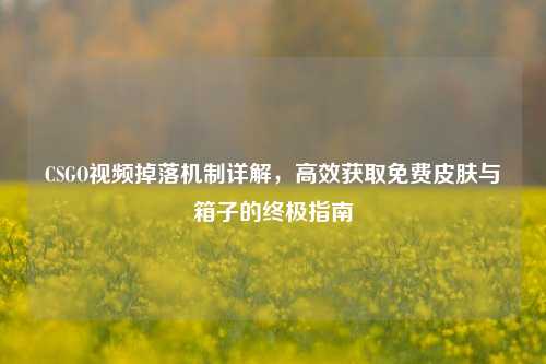CSGO视频掉落机制详解,高效获取免费皮肤与箱子的终极指南