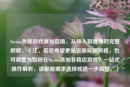 Steam外部游戏添加指南,从导入到管理的完整教程,(注,若您希望更贴近原标题风格,也可调整为如何在Steam添加非商店游戏?一站式操作解析,请根据需求选择或进一步调整。)