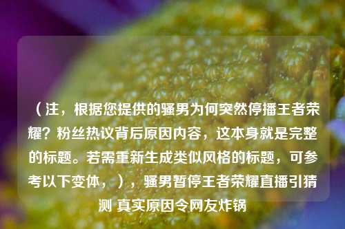 (注,根据您提供的骚男为何突然停播王者荣耀?粉丝热议背后原因内容,这本身就是完整的标题。若需重新生成类似风格的标题,可参考以下变体,),骚男暂停王者荣耀直播引猜测 真实原因令网友炸锅