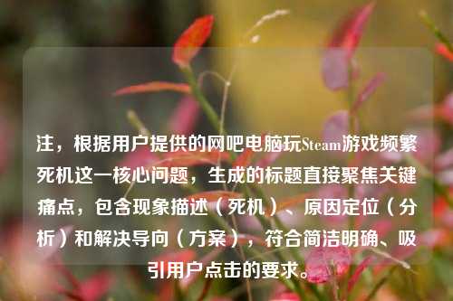 注,根据用户提供的网吧电脑玩Steam游戏频繁死机这一核心问题,生成的标题直接聚焦关键痛点,包含现象描述(死机)、原因定位(分析)和解决导向(方案),符合简洁明确、吸引用户点击的要求。