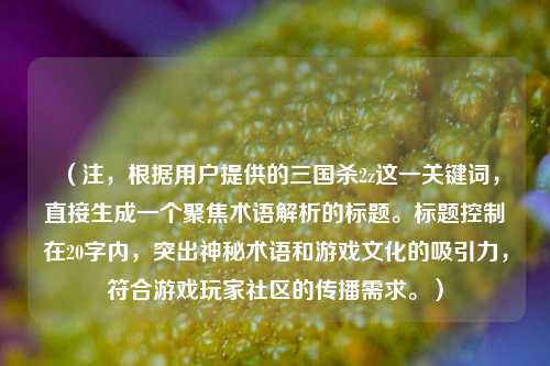 (注,根据用户提供的三国杀2z这一关键词,直接生成一个聚焦术语解析的标题。标题控制在20字内,突出神秘术语和游戏文化的吸引力,符合游戏玩家社区的传播需求。)