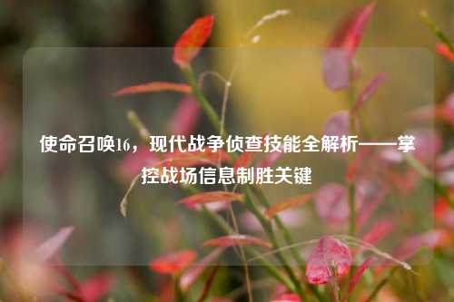 使命召唤16,现代战争侦查技能全解析——掌控战场信息制胜关键