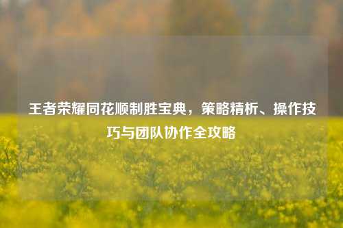 王者荣耀同花顺制胜宝典,策略精析、操作技巧与团队协作全攻略