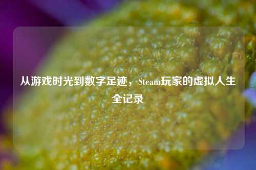 从游戏时光到数字足迹,Steam玩家的虚拟人生全记录