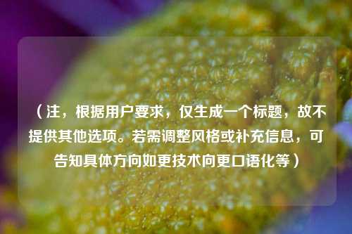 (注,根据用户要求,仅生成一个标题,故不提供其他选项。若需调整风格或补充信息,可告知具体方向如更技术向更口语化等)